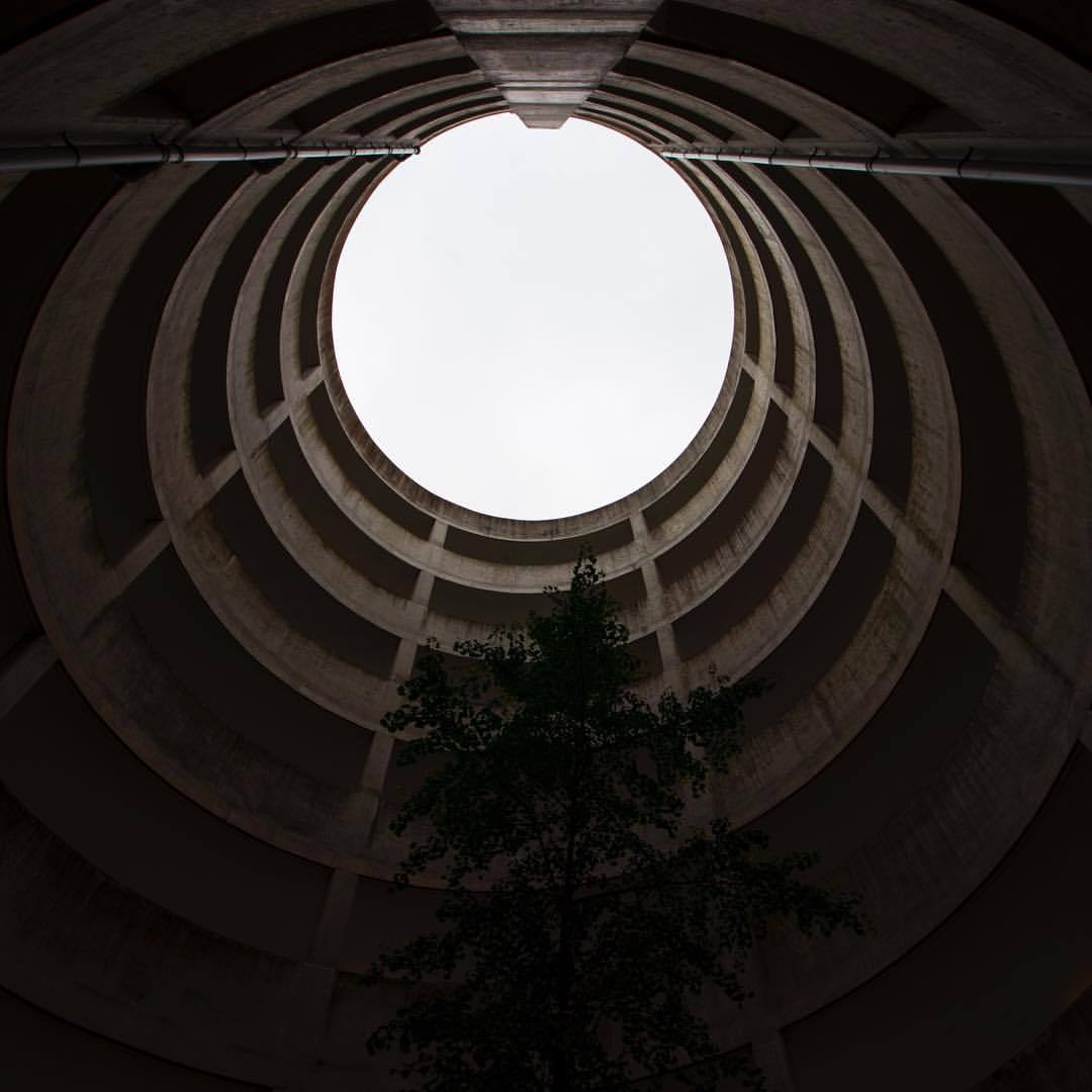Archillect ID 338639