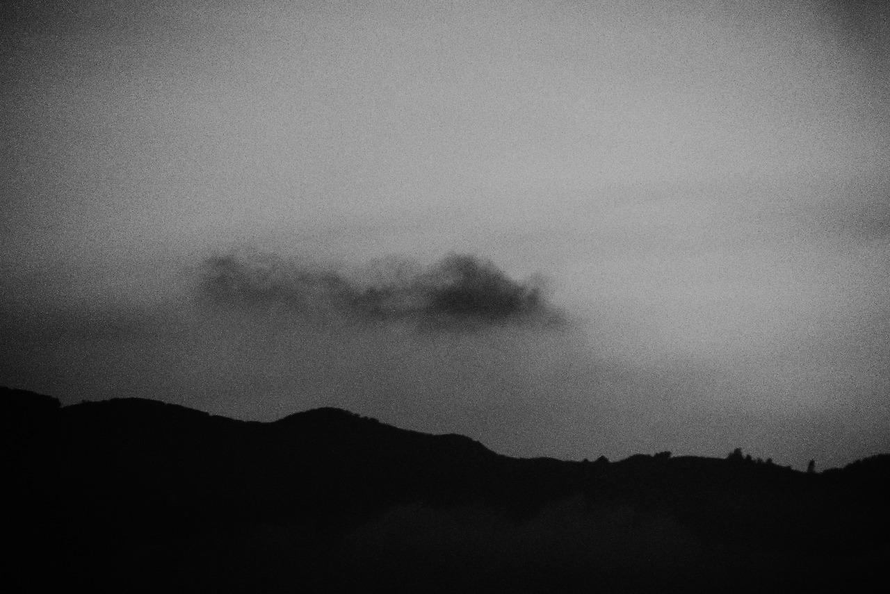 Archillect ID 338801