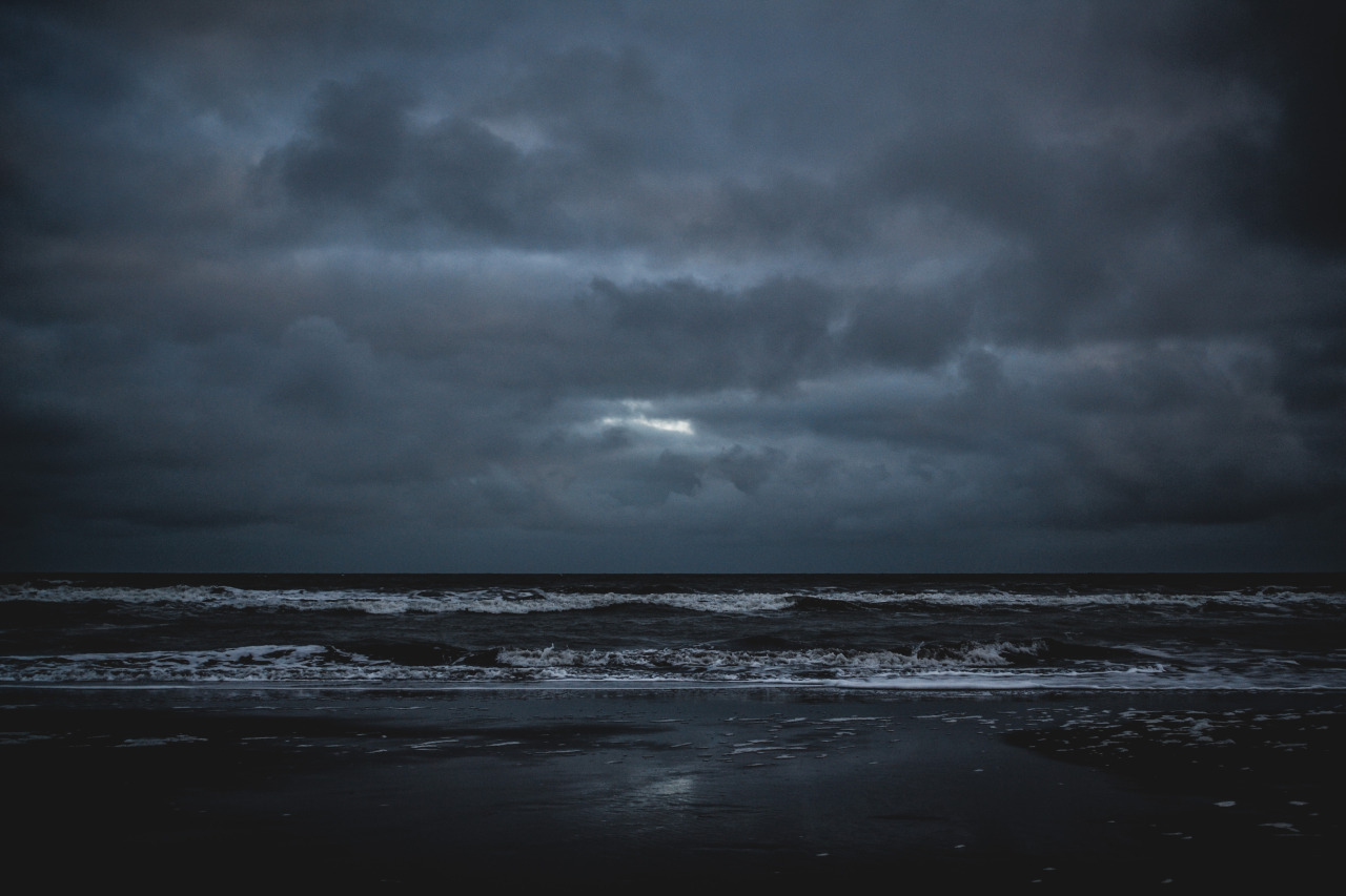 Archillect ID 339097