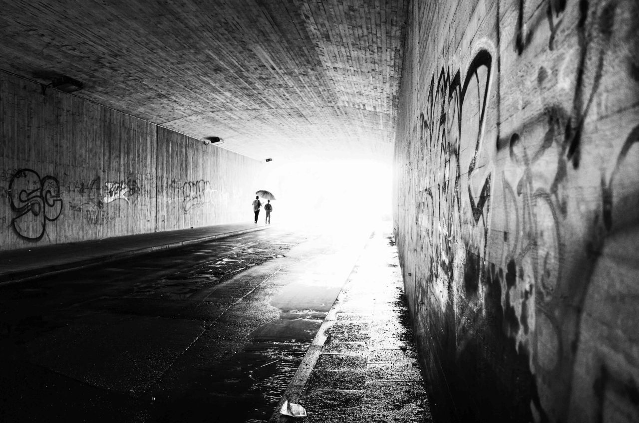 Archillect ID 339220