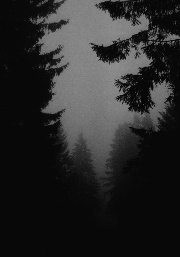 Archillect ID 339615