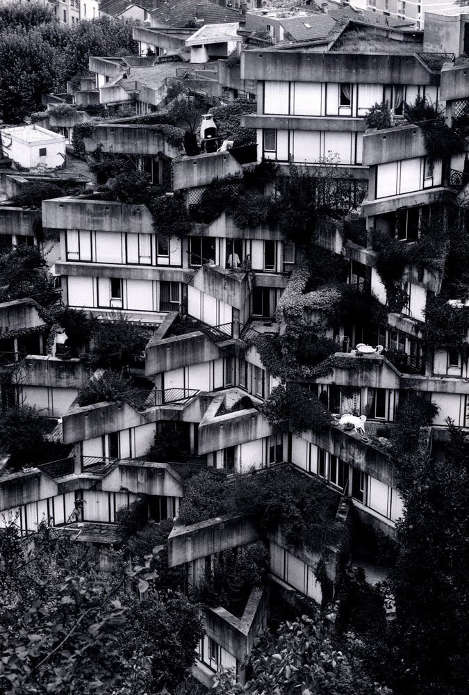 Archillect ID 339628