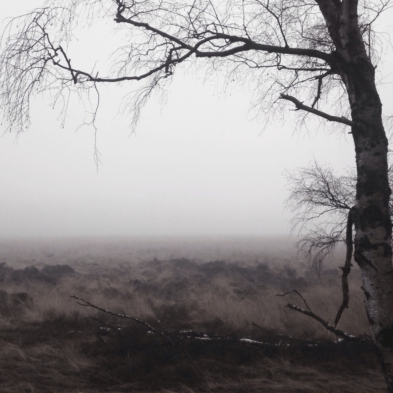 Archillect ID 339741