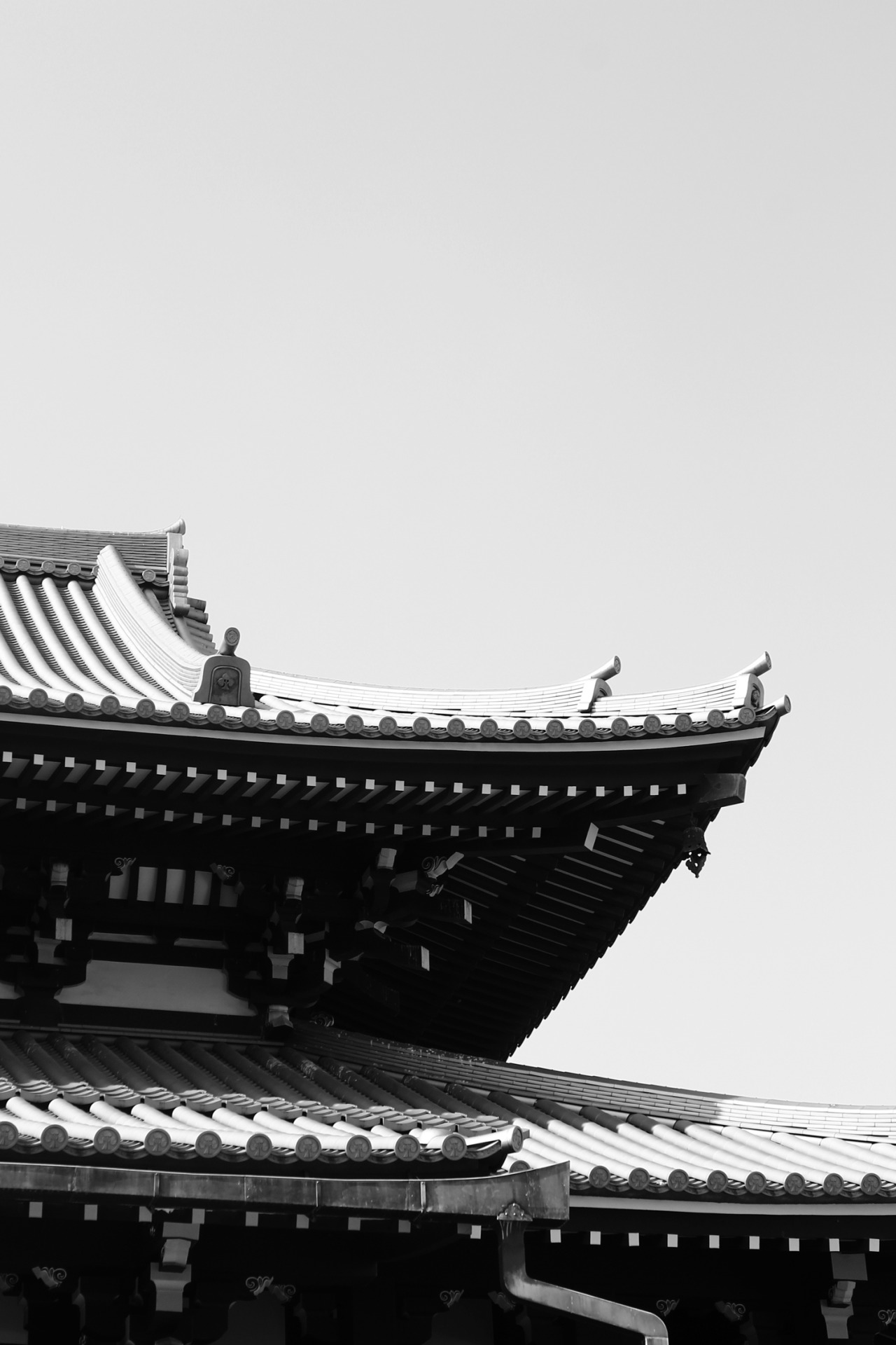 Archillect ID 339782