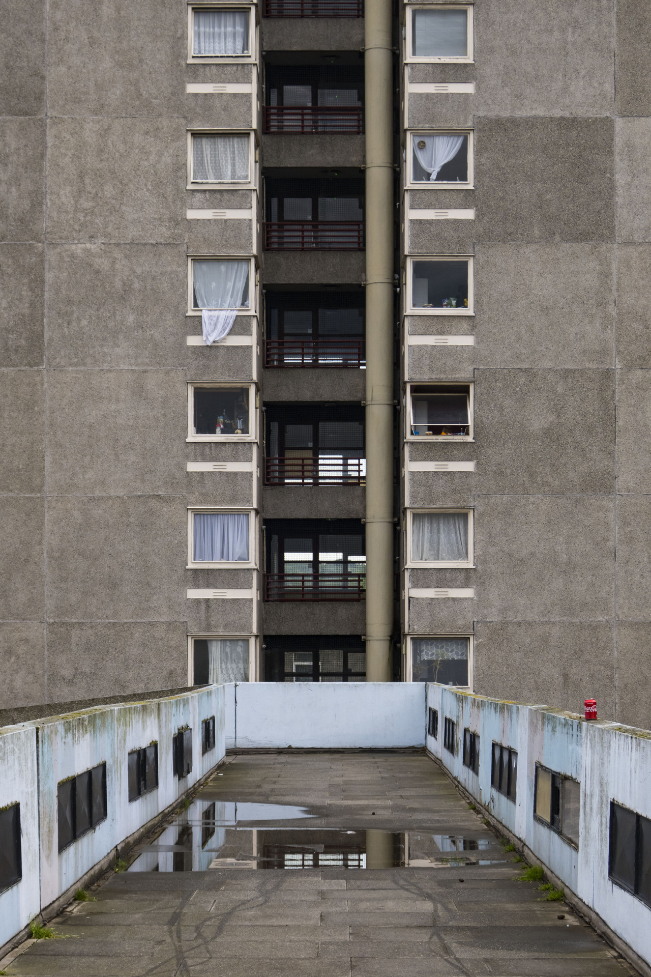 Archillect ID 339831
