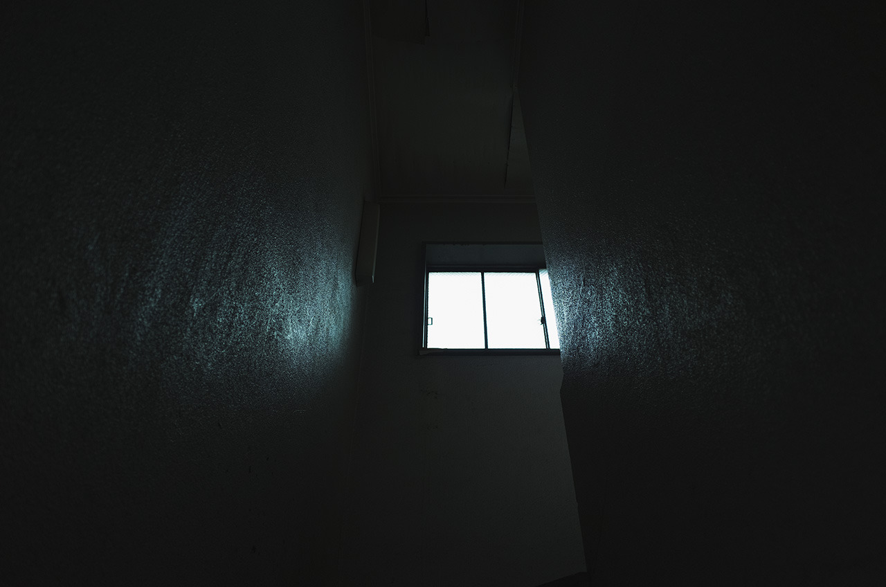 Archillect ID 339844