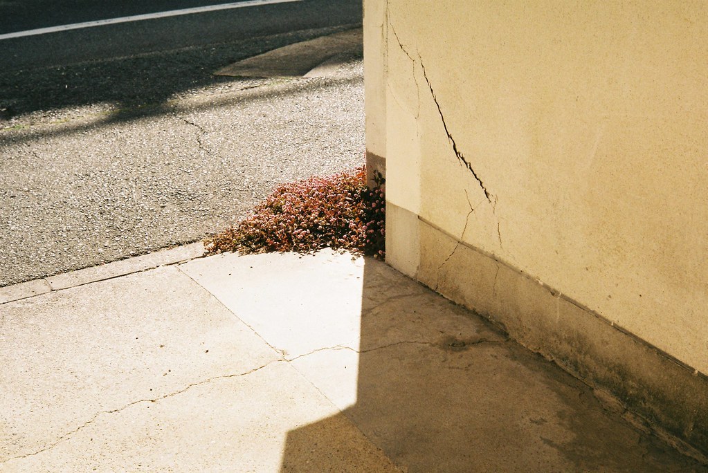 Archillect ID 339967