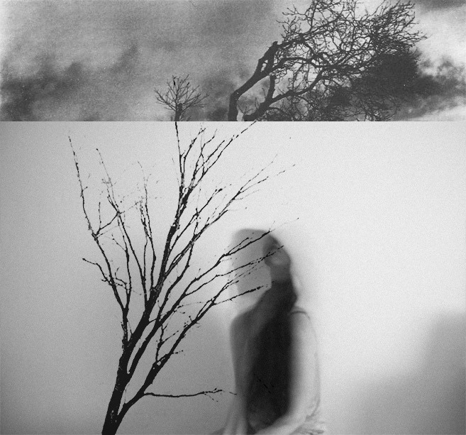 Archillect ID 340164