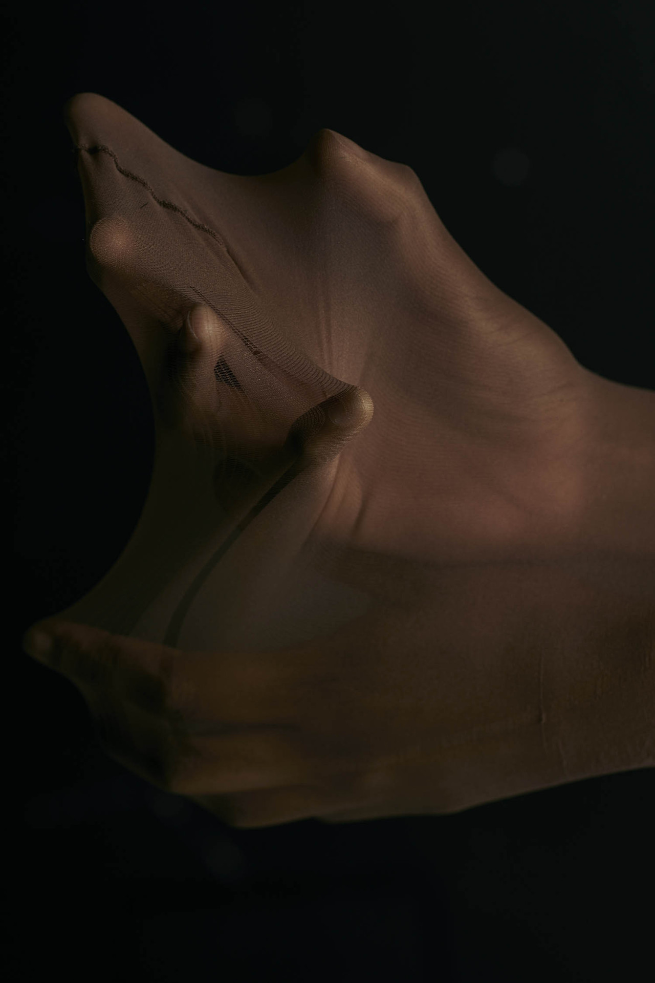 Archillect ID 340303