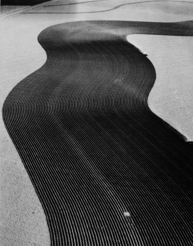 Archillect ID 340413