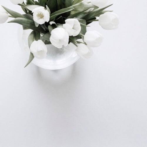 Archillect ID 340569