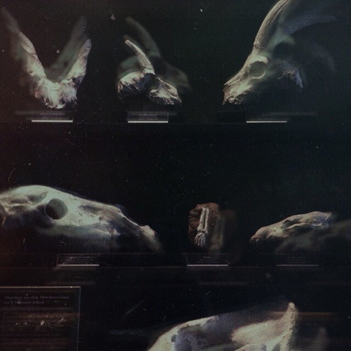 Archillect ID 340694