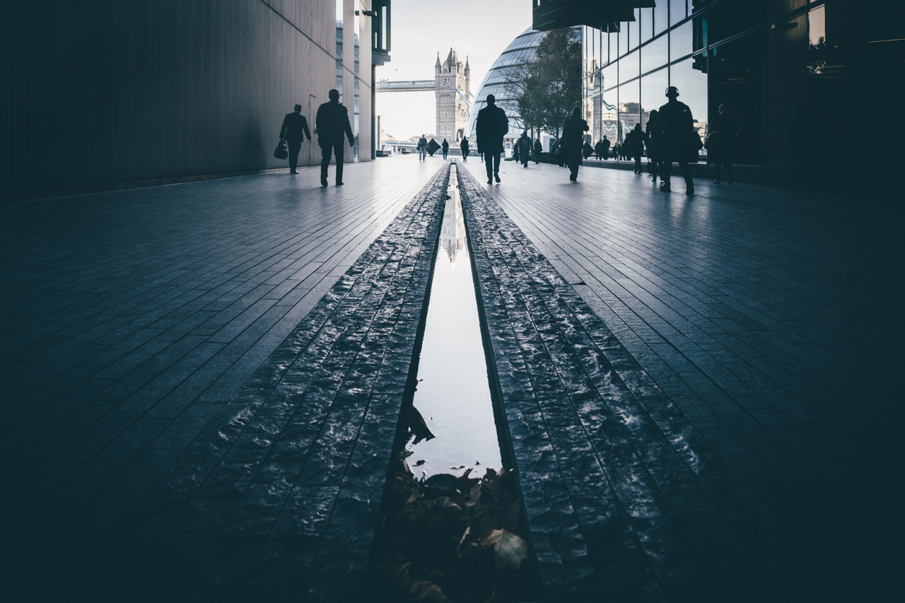 Archillect ID 340816