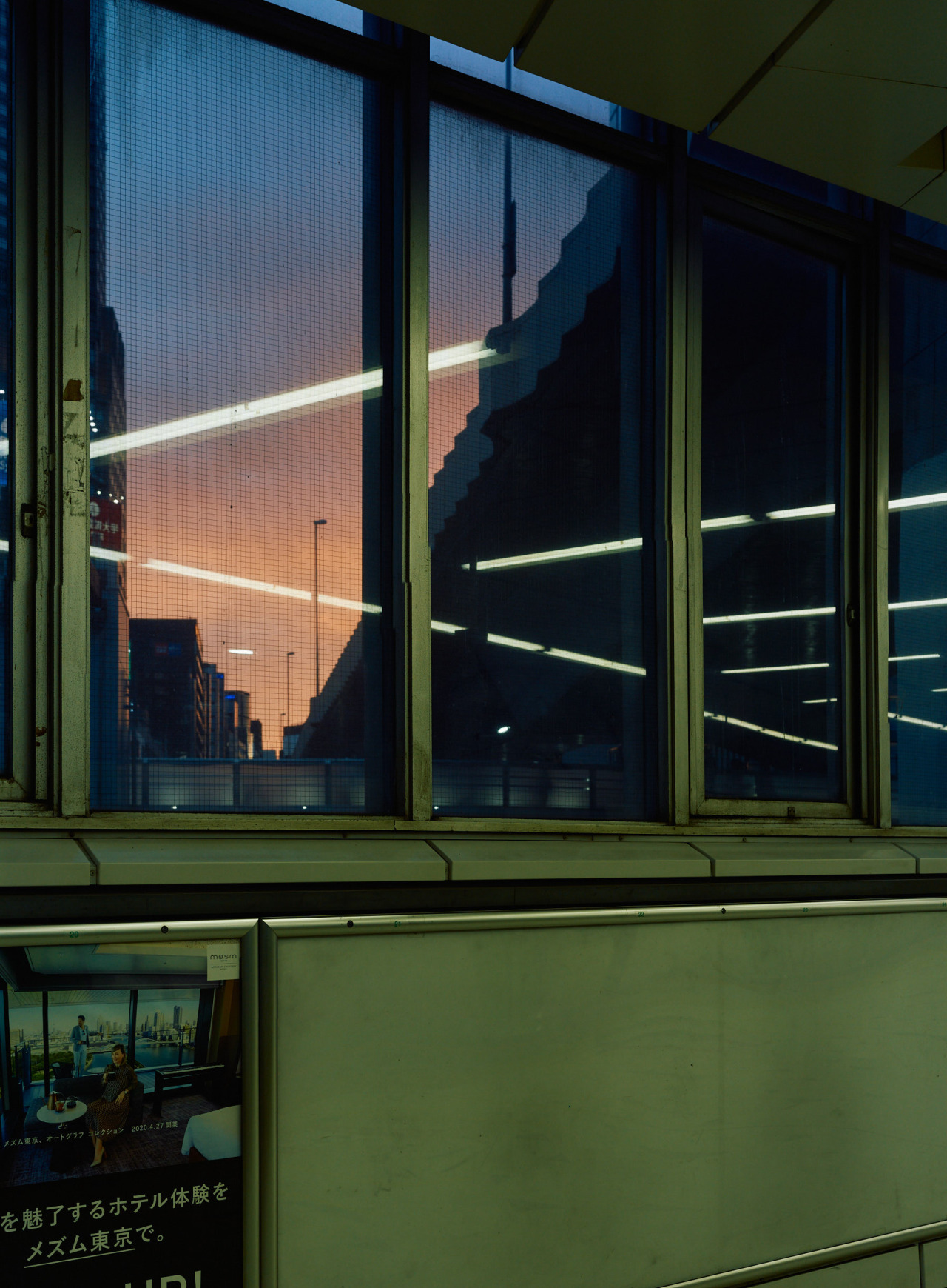 Archillect ID 340862