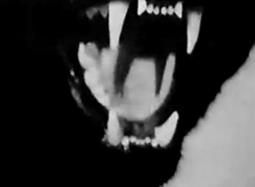 Archillect ID 340864