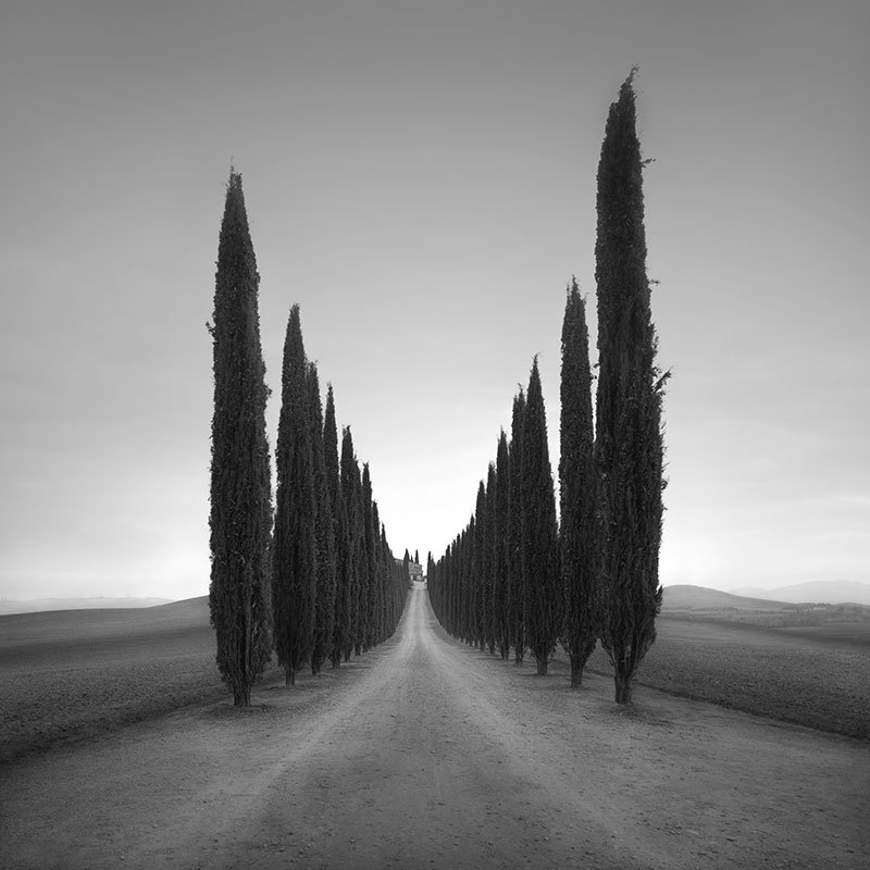 Archillect ID 340908
