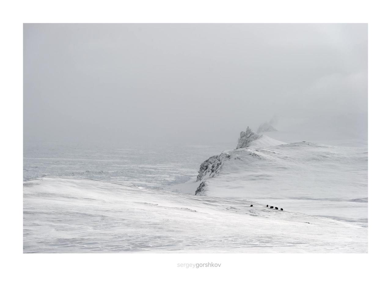 Archillect ID 341152