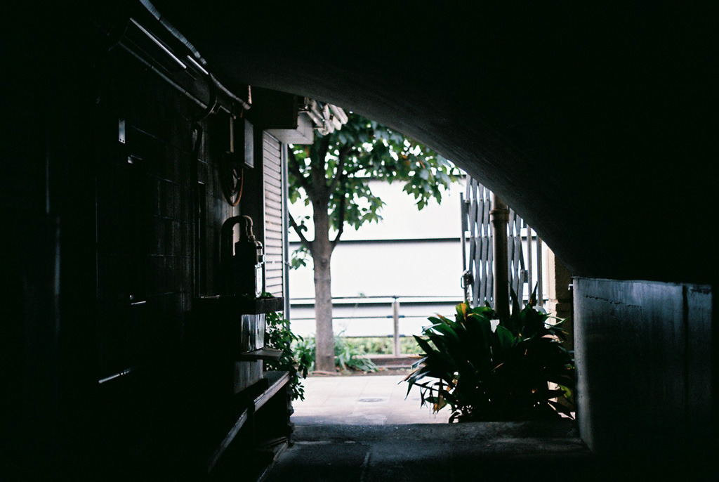Archillect ID 341429