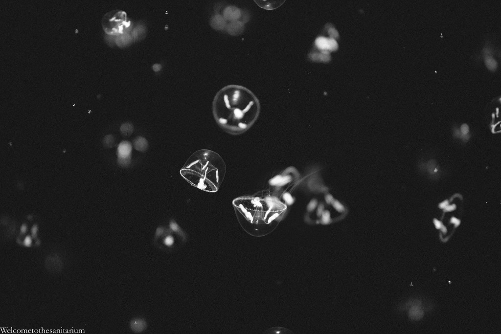 Archillect ID 341451