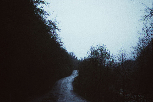 Archillect ID 341533