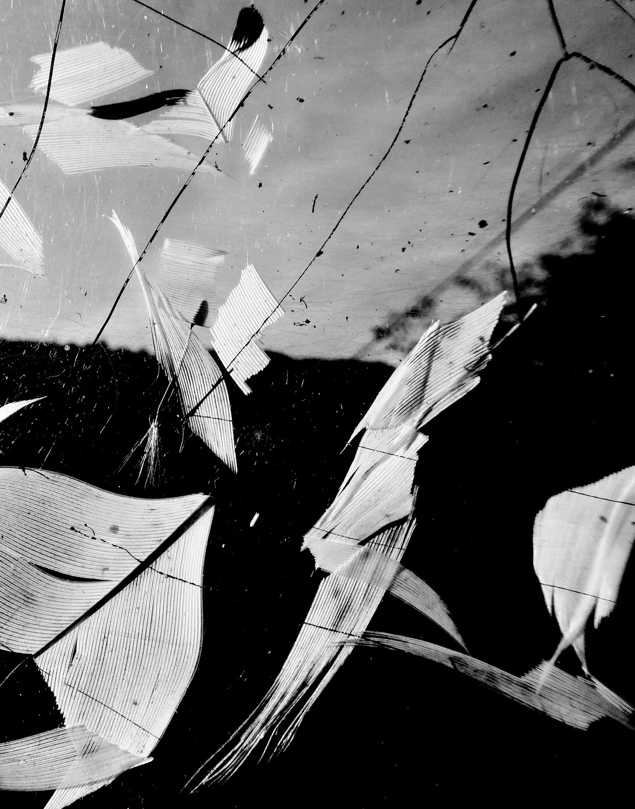 Archillect ID 341637