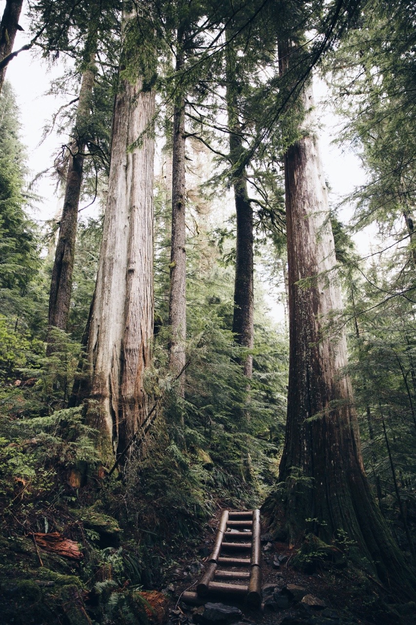 Archillect ID 341752