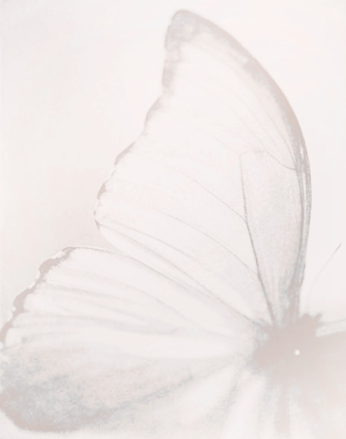 Archillect ID 341822