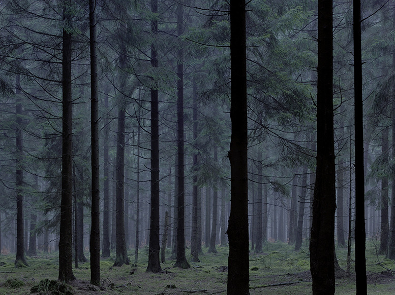 Archillect ID 341974