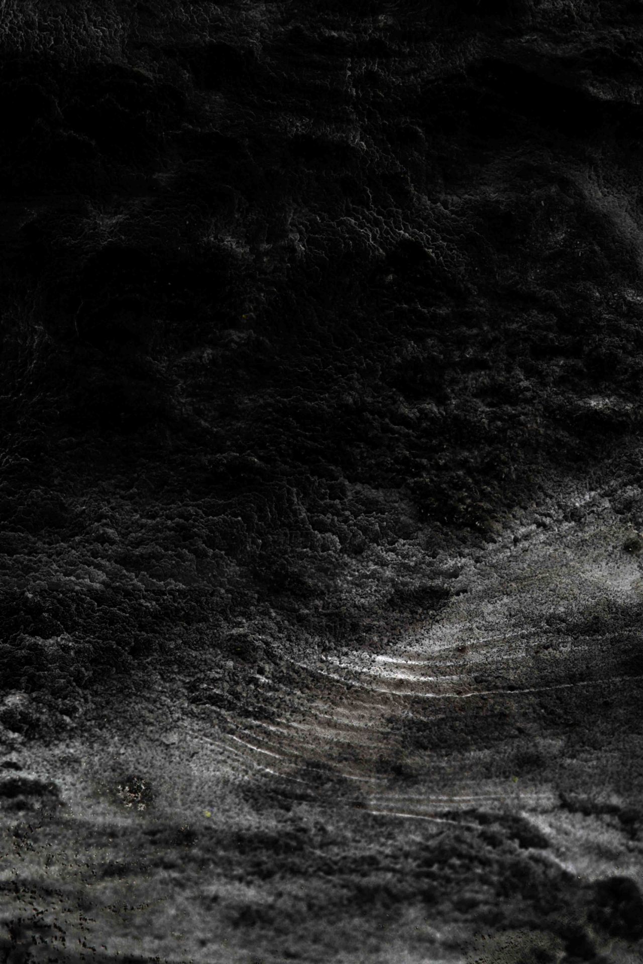 Archillect ID 342145