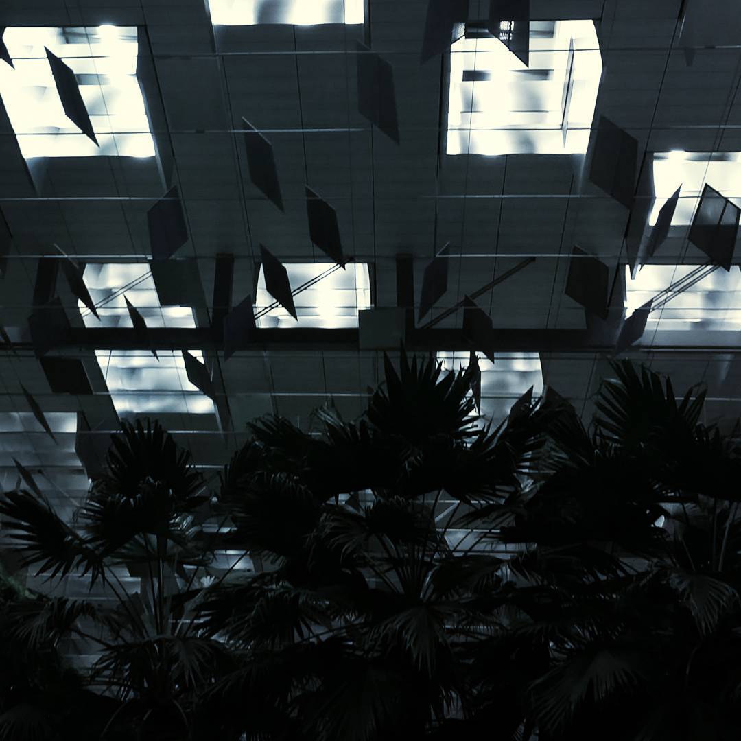Archillect ID 342175
