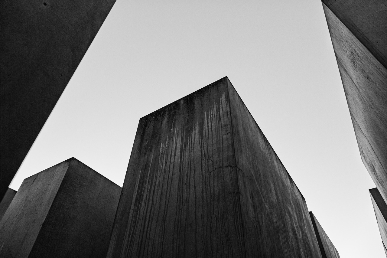Archillect ID 342482