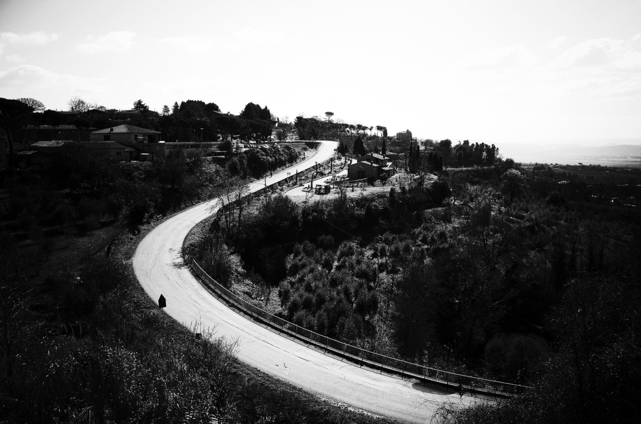 Archillect ID 342576