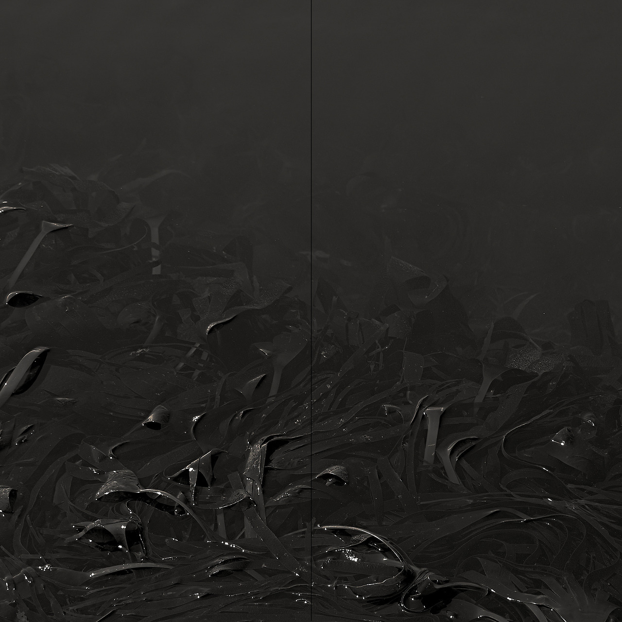 Archillect ID 342811