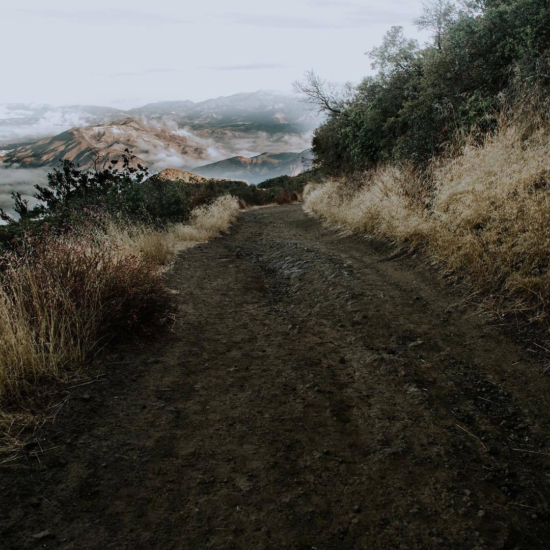Archillect ID 342894