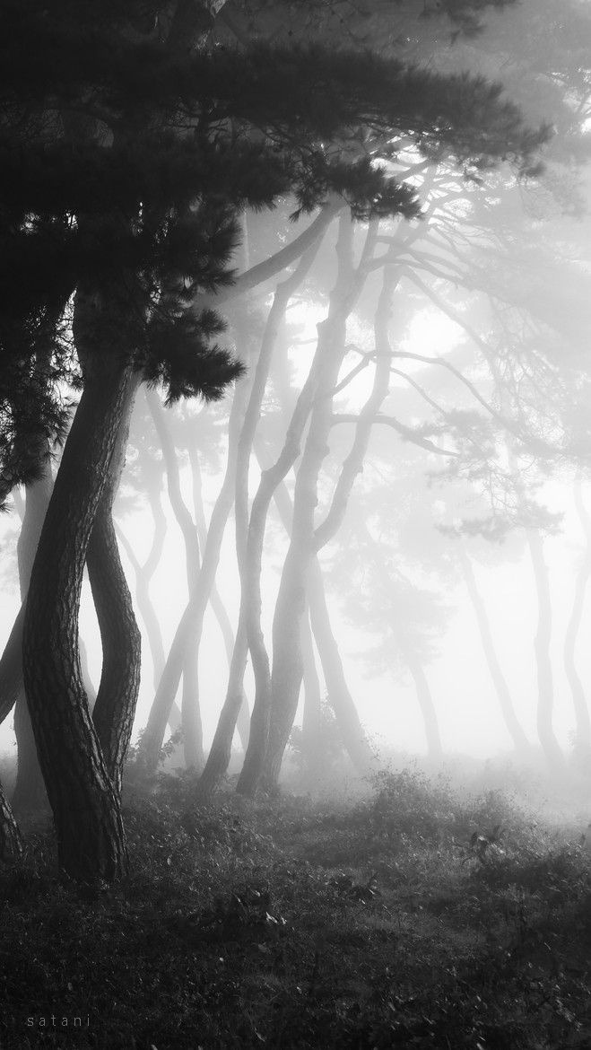 Archillect ID 343020