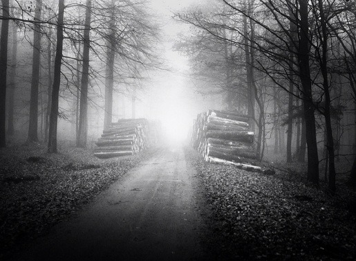 Archillect ID 343217