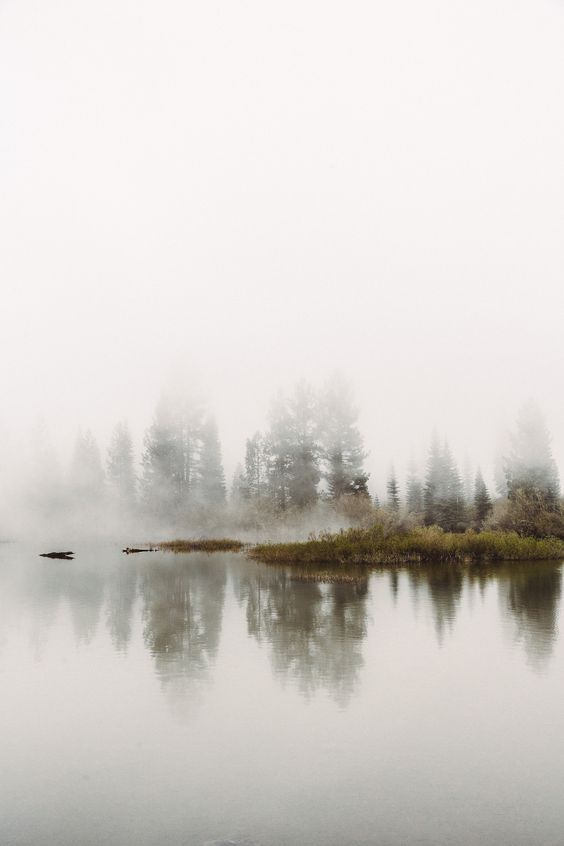 Archillect ID 343891