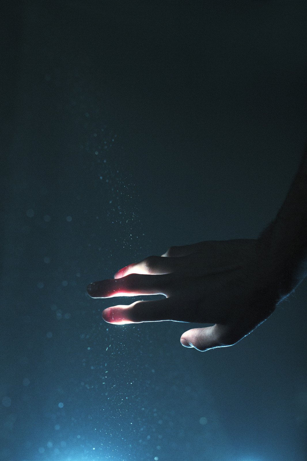 Archillect ID 344033