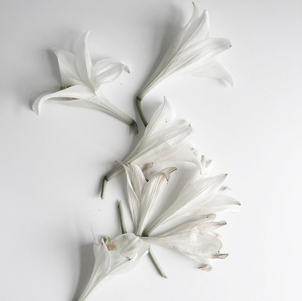 Archillect ID 344070