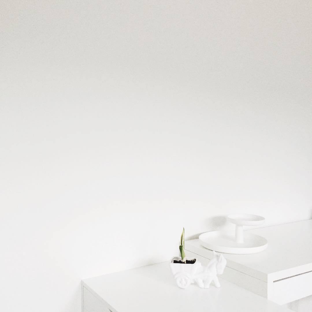 Archillect ID 344291