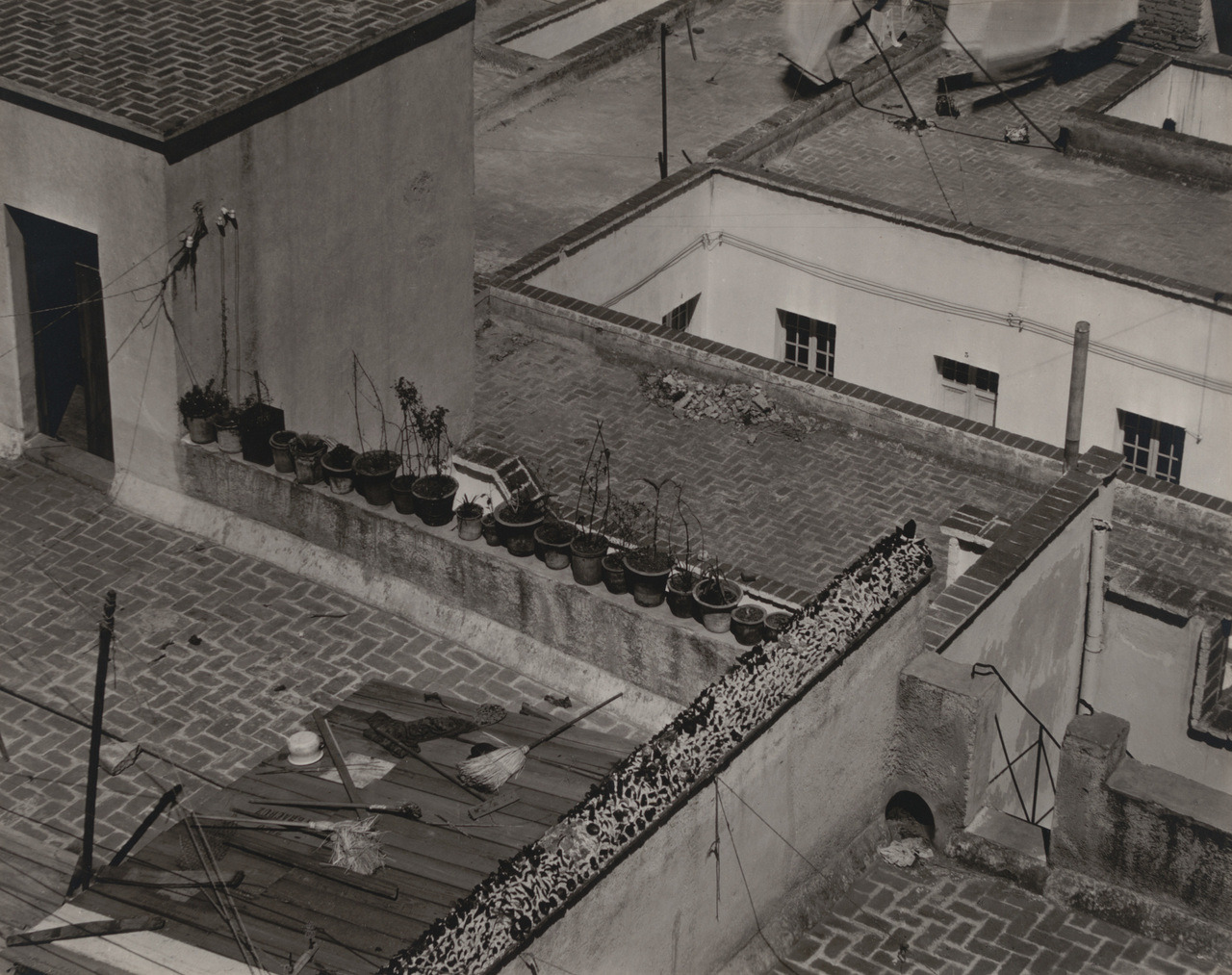 Archillect ID 344439