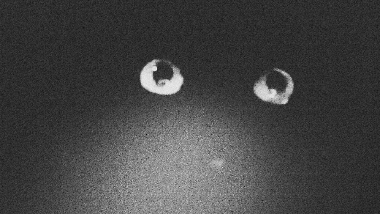 Archillect ID 344811