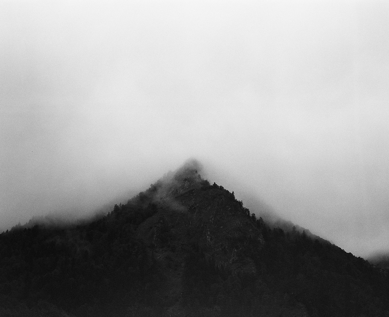 Archillect ID 344871