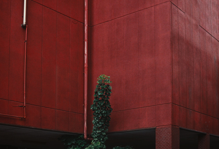 Archillect ID 345073