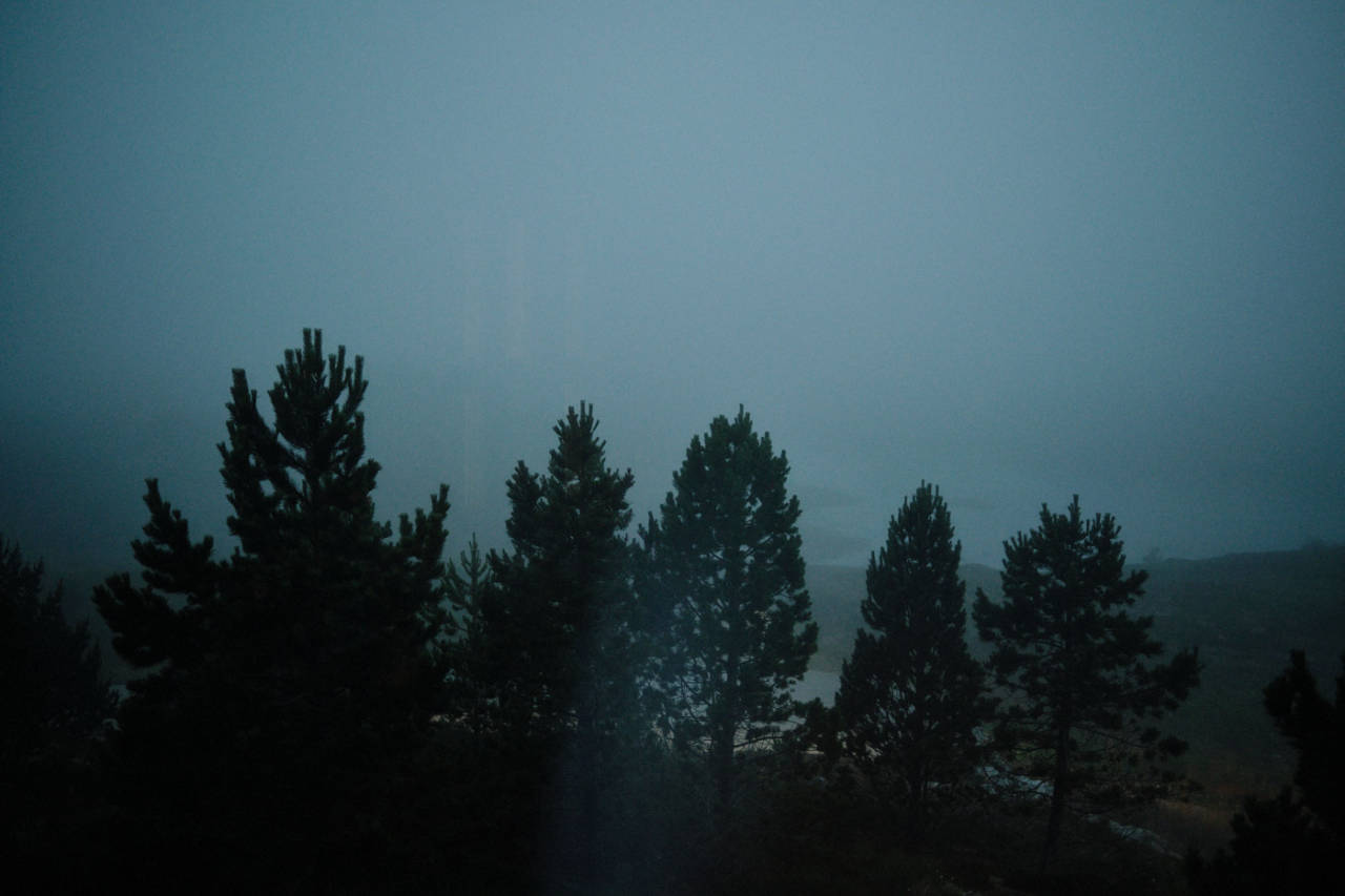 Archillect ID 345188