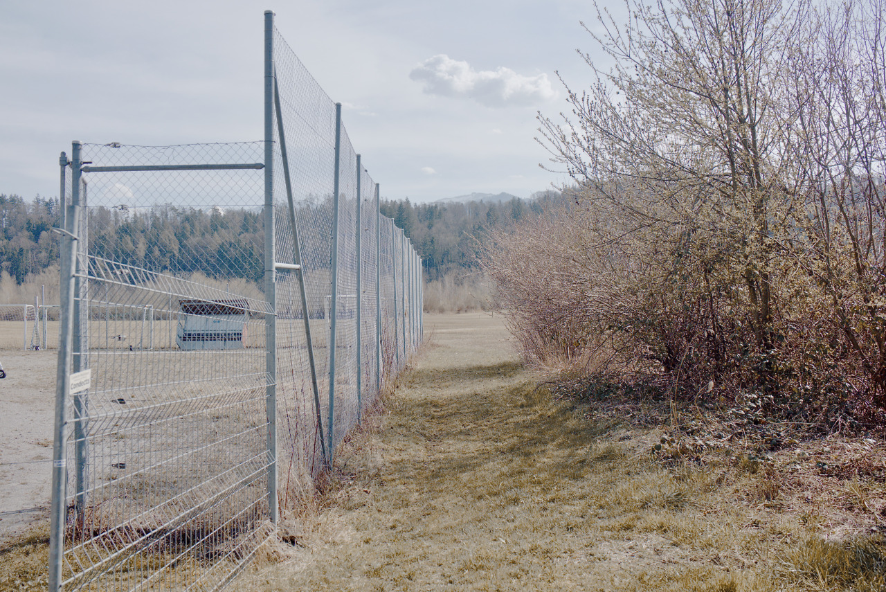 Archillect ID 345226