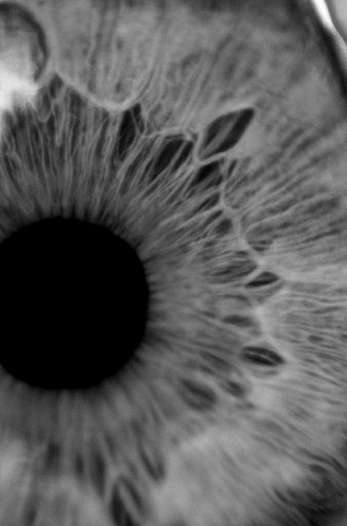 Archillect ID 345415