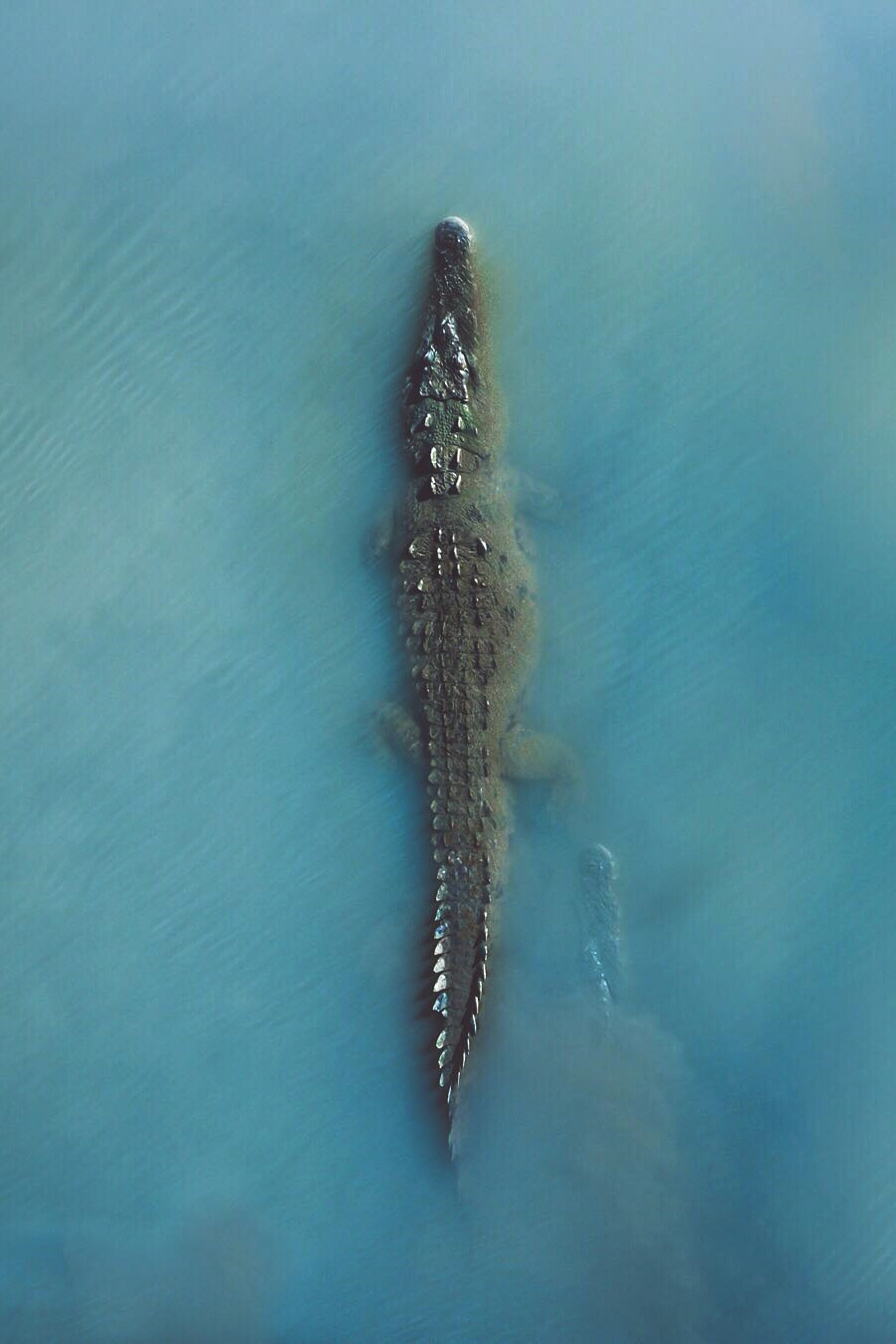 Archillect ID 345429