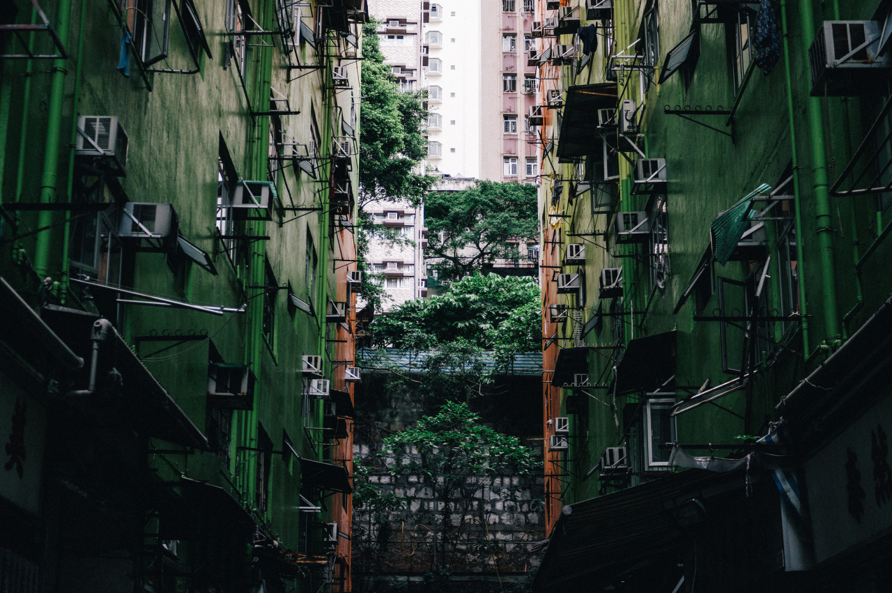 Archillect ID 346127