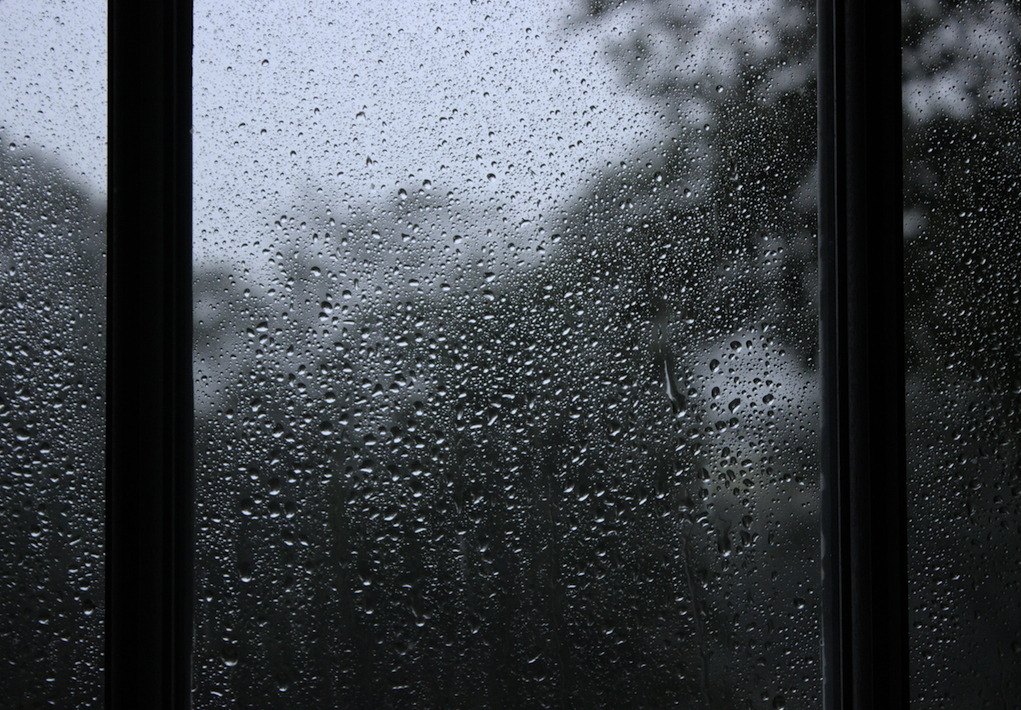 Archillect ID 346149